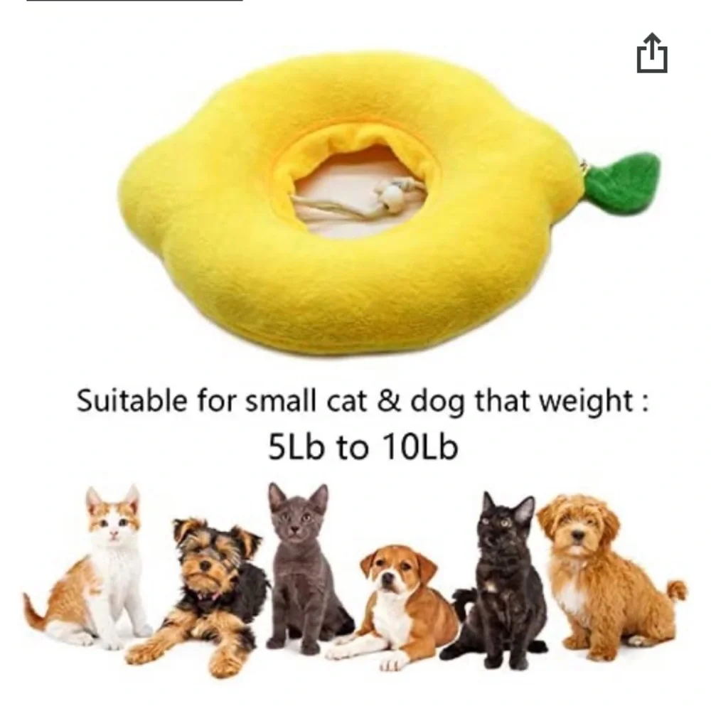 Cat/Small Dog Protective Cone Collars